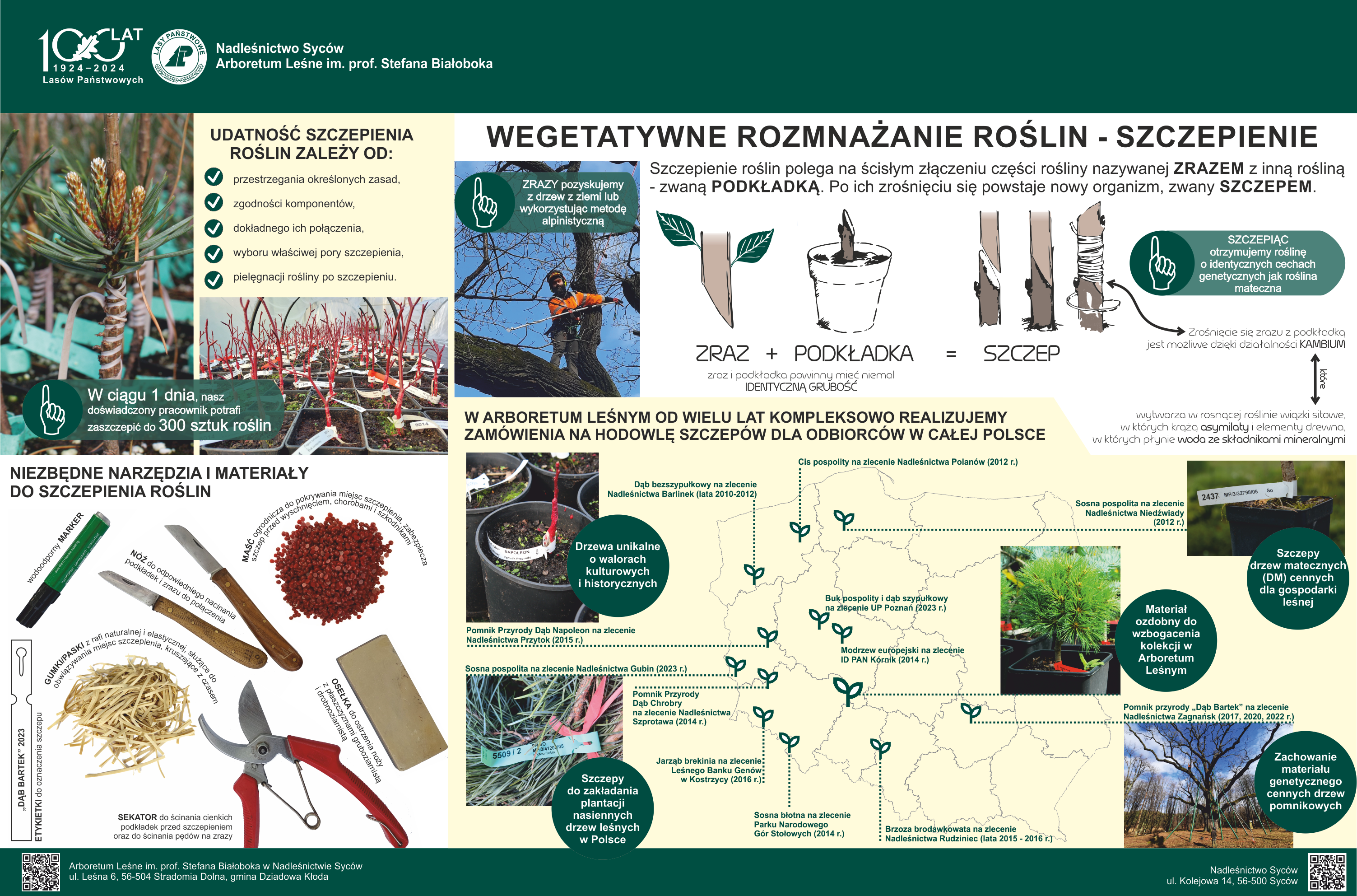 Tablica informacyjna opracowana przez Martynę Kuźniak 