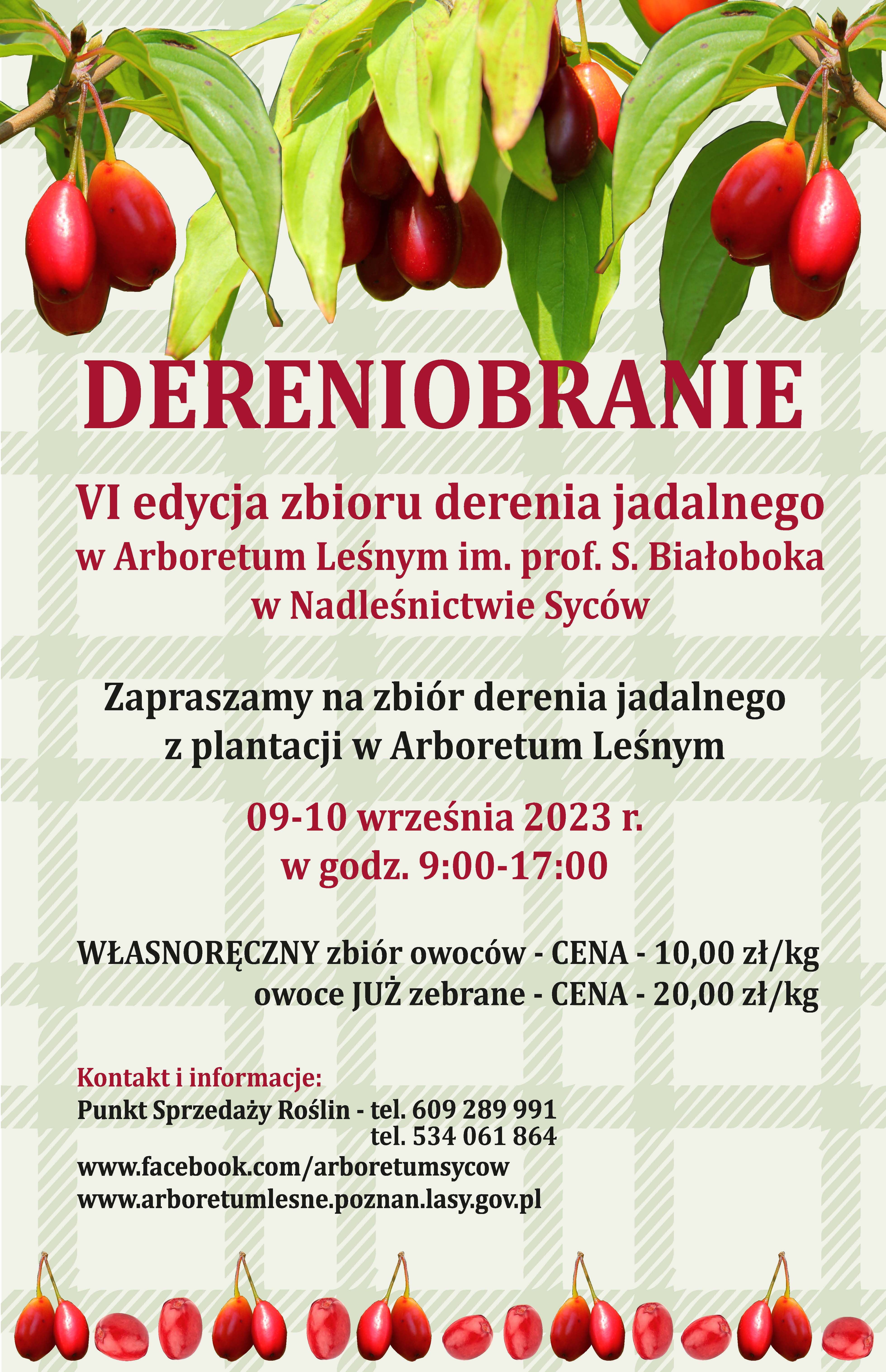 Plakat VI edycji dereniobrania