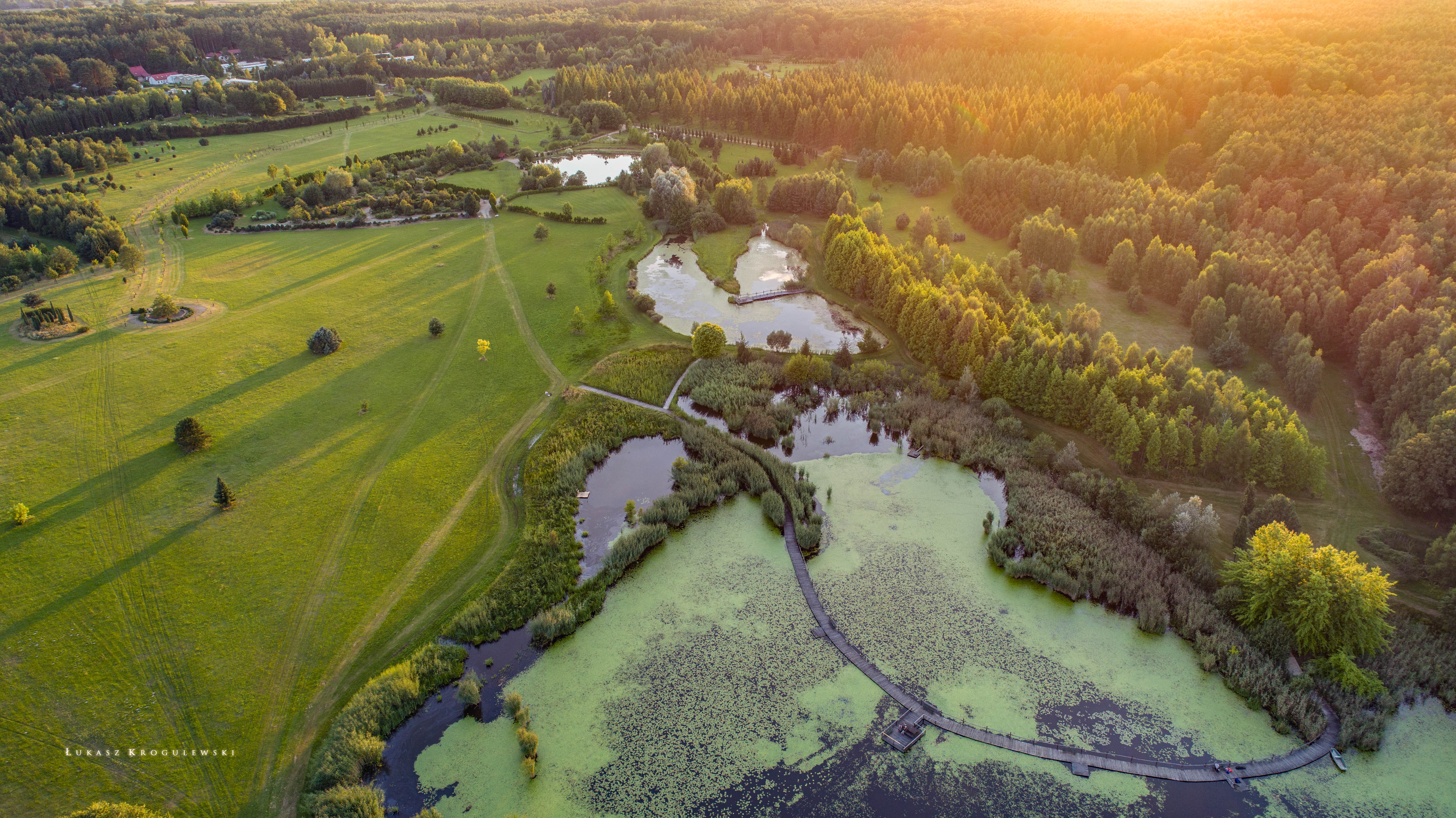 headquarters Kancelaria Arboretum Leśnego im. prof. Stefana Białoboka w Nadleśnictwie Syców