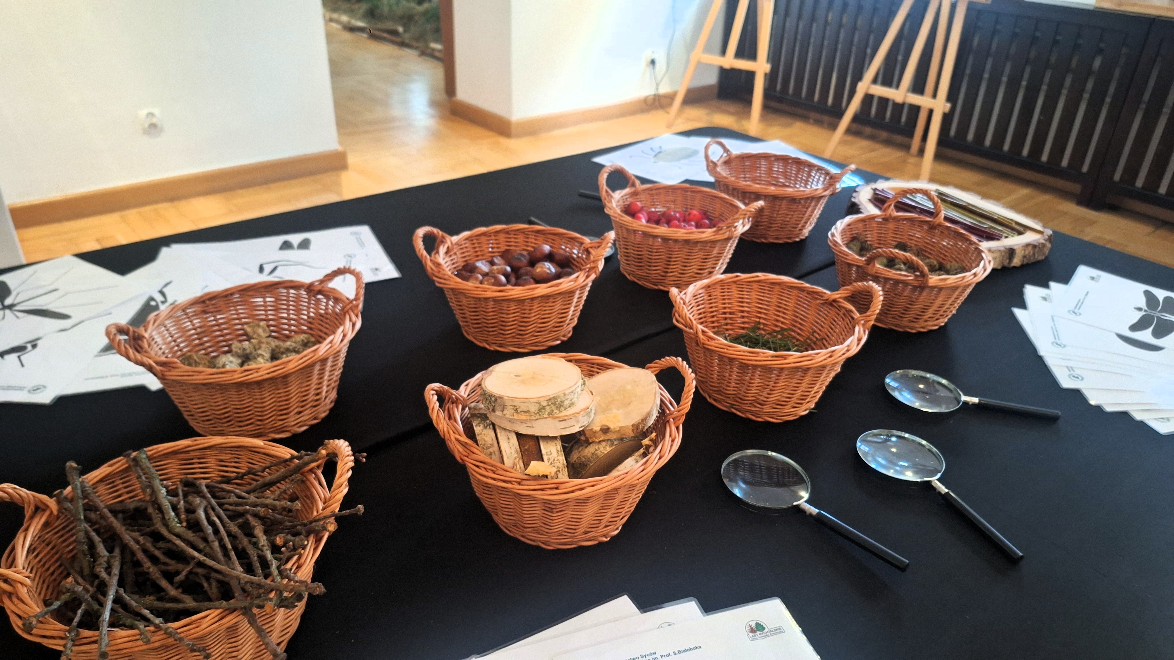 Zdjęcie przedstawia salę warsztatową z naturalnymi materiałami do tworzenia kompozycji. W wiklinowych koszyczkach umieszczono drewno, patyki i kamienie.  Fot. M. Kuźniak.