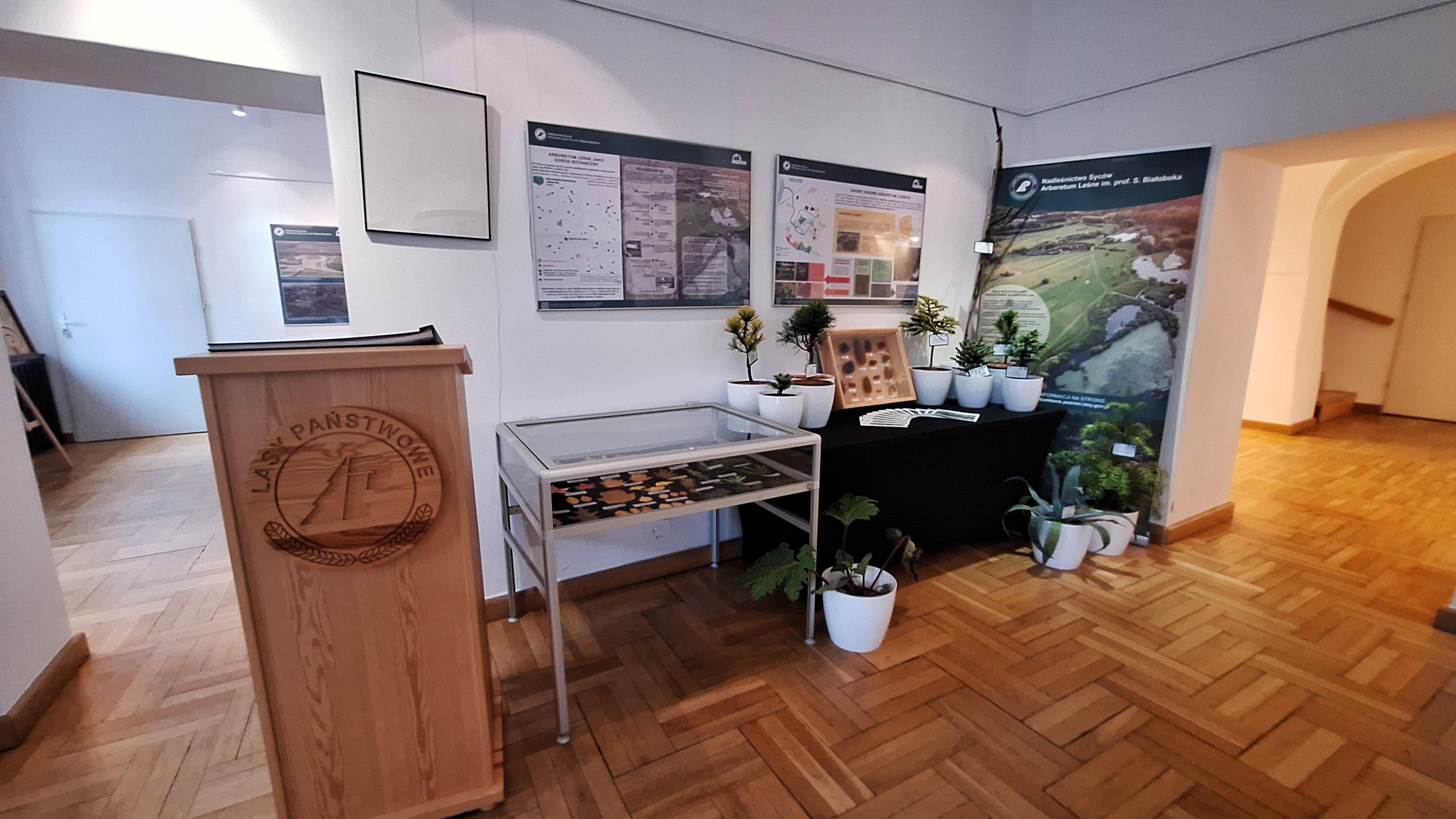 Zdjęcie przedstawia część aranżacji wystawy w Muzeum Regionalnym w Sycowie - gablota z różnokolorowymi liśćmi, mównica z kroniką, oraz stół z koelkcją szczepów roślin iglastych Fot. M. Kużniak