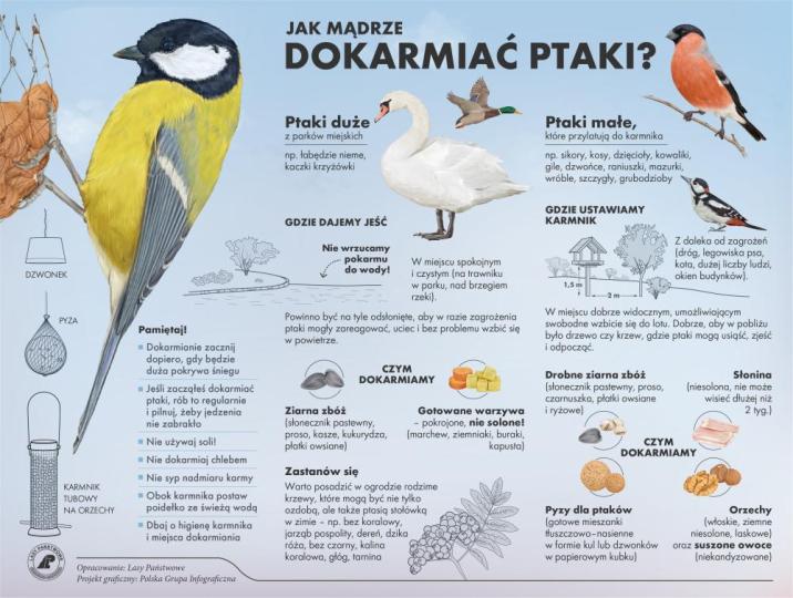 Infografika&#x20;LP&#x20;o&#x20;dokarmianiu&#x20;ptaków&#x2e;