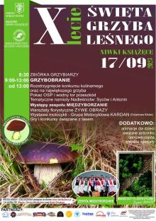 Święto Grzyba Leśnego