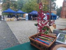 II Leśny Piknik Rodzinny w Poznaniu