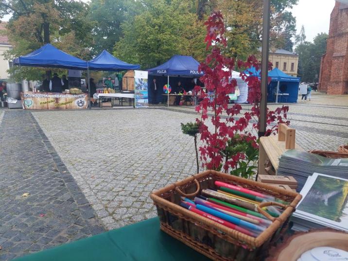 Zdjęcie&#x20;przedstawia&#x20;plac&#x20;przed&#x20;Bazyliką&#x20;archikatedralną&#x20;Świętych&#x20;Apostołów&#x20;Piotra&#x20;i&#x20;Pawła&#x20;w&#x20;Poznaniu