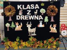 Klasa z drewna w Dziadowej Kłodzie