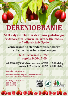VIII Edycja Dereniobrania