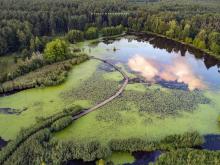 Mapa arboretum + cenne wskazówki